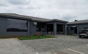 Green Olive Panorama